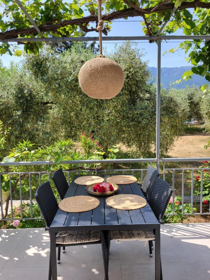 Ioannis Houses - Gemuetliches Ferienhaus Im Olivenhain Скала Потамияс Екстериор снимка