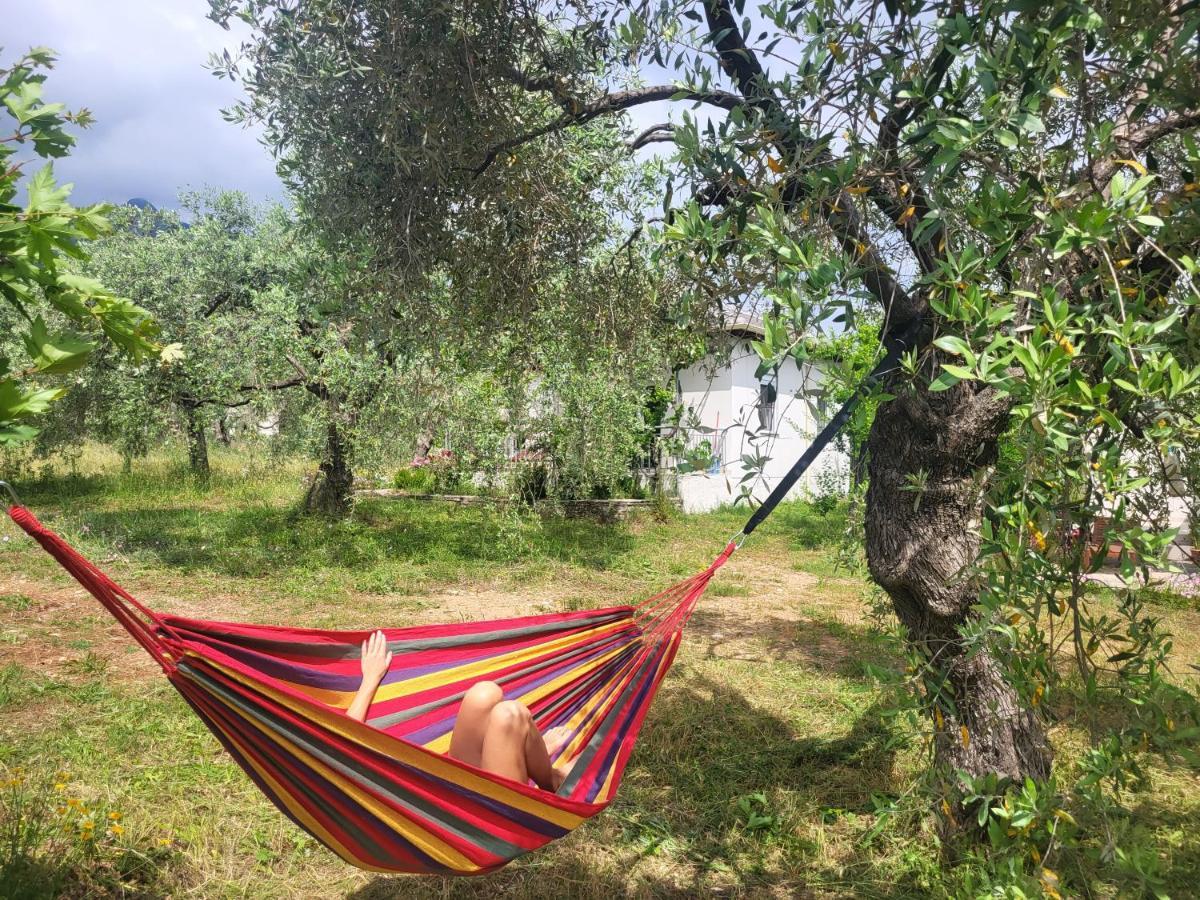 Ioannis Houses - Gemuetliches Ferienhaus Im Olivenhain Скала Потамияс Екстериор снимка