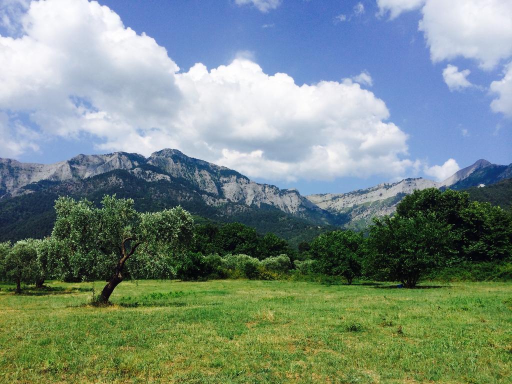 Ioannis Houses - Gemuetliches Ferienhaus Im Olivenhain Скала Потамияс Екстериор снимка